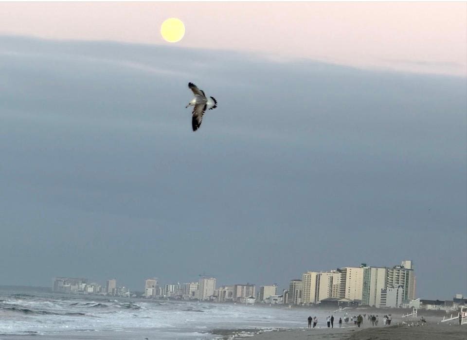 Spectacular sunset views 