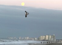 Spectacular sunset views