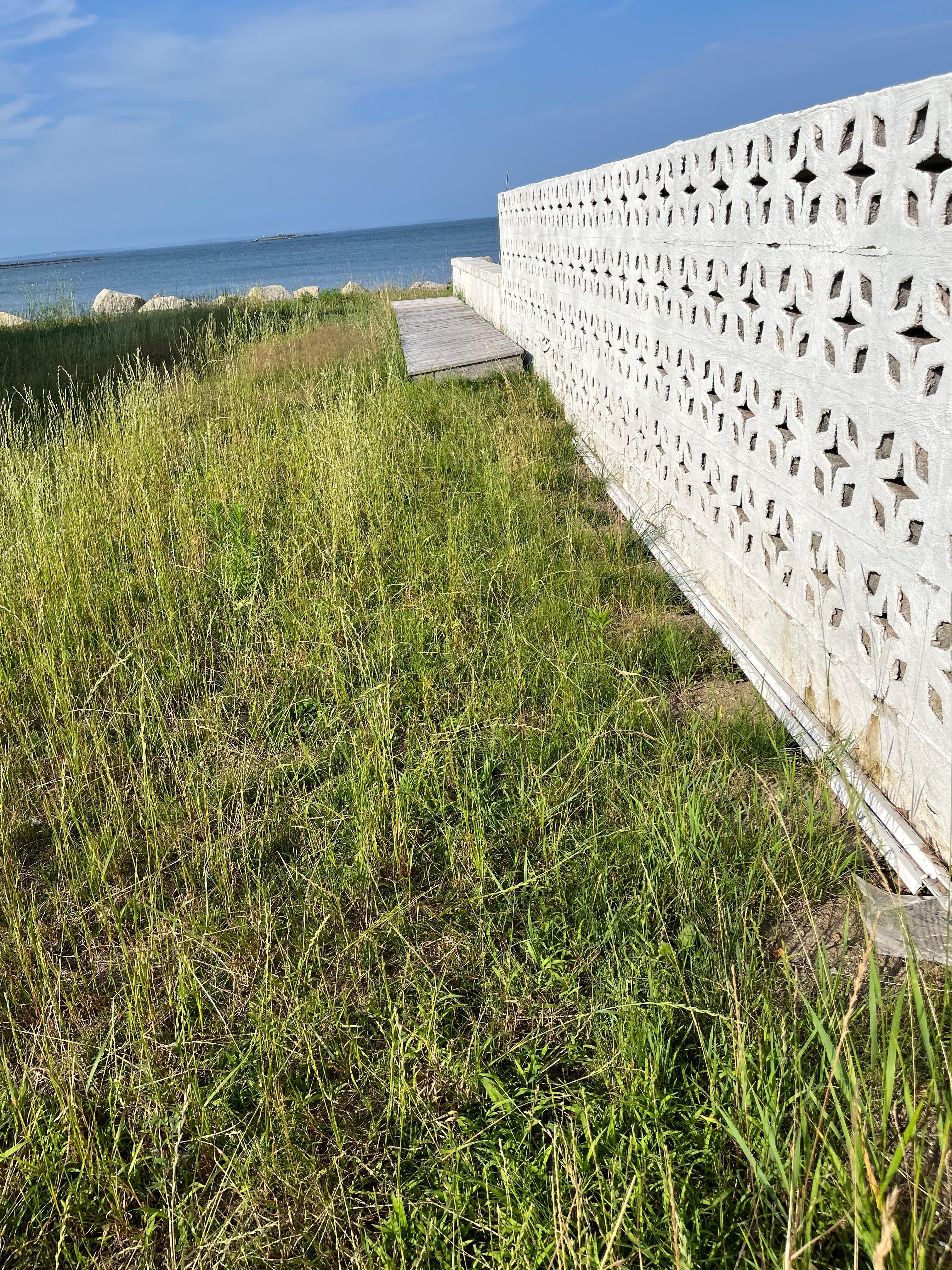 Path to shared beach access very overgrown
