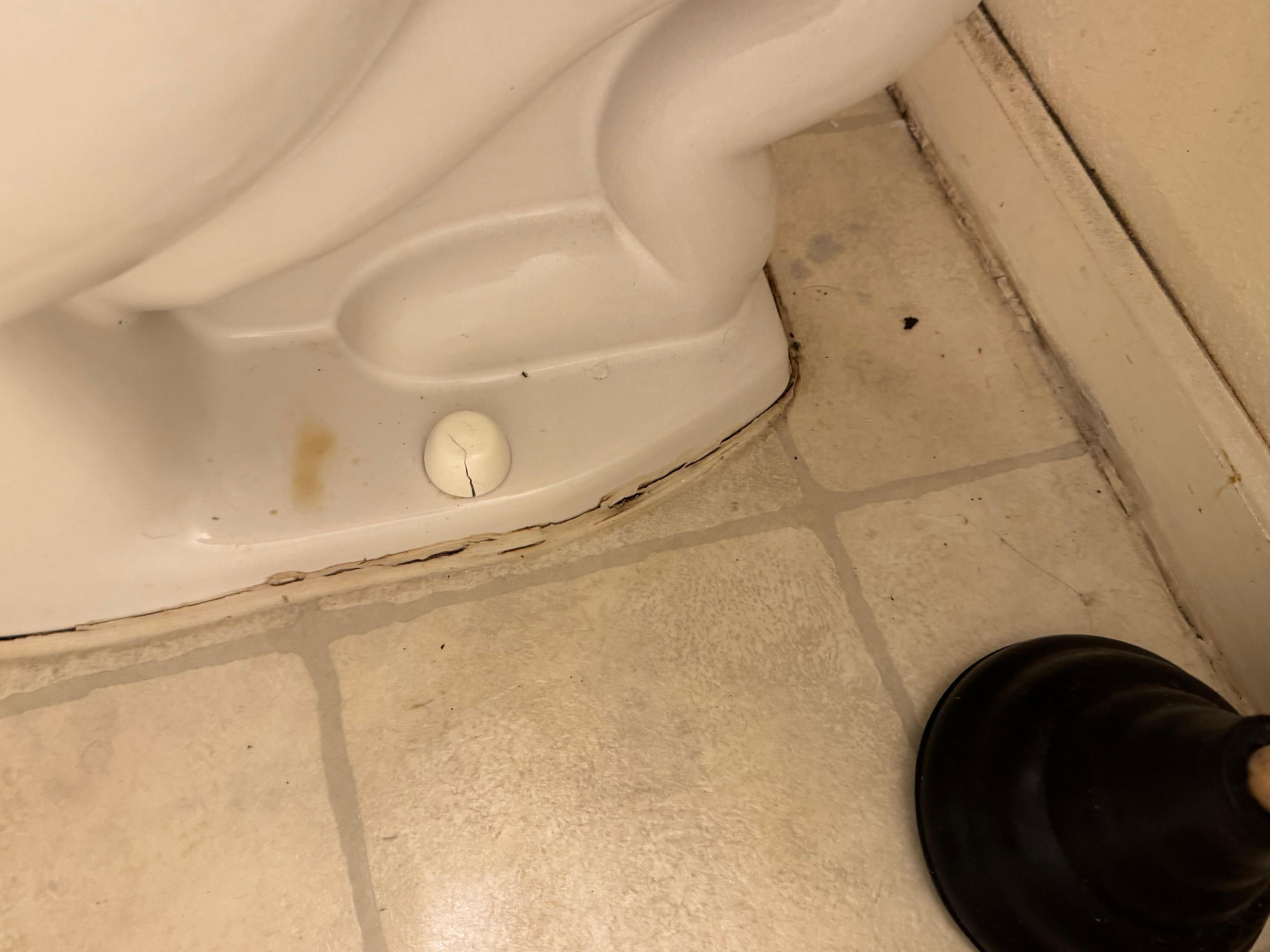 Crystallized urine around the toilet.. definitely been there a long time.