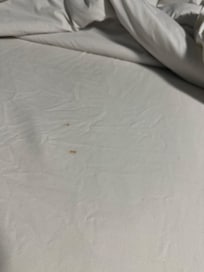 Sheet looked clean but had visible stains