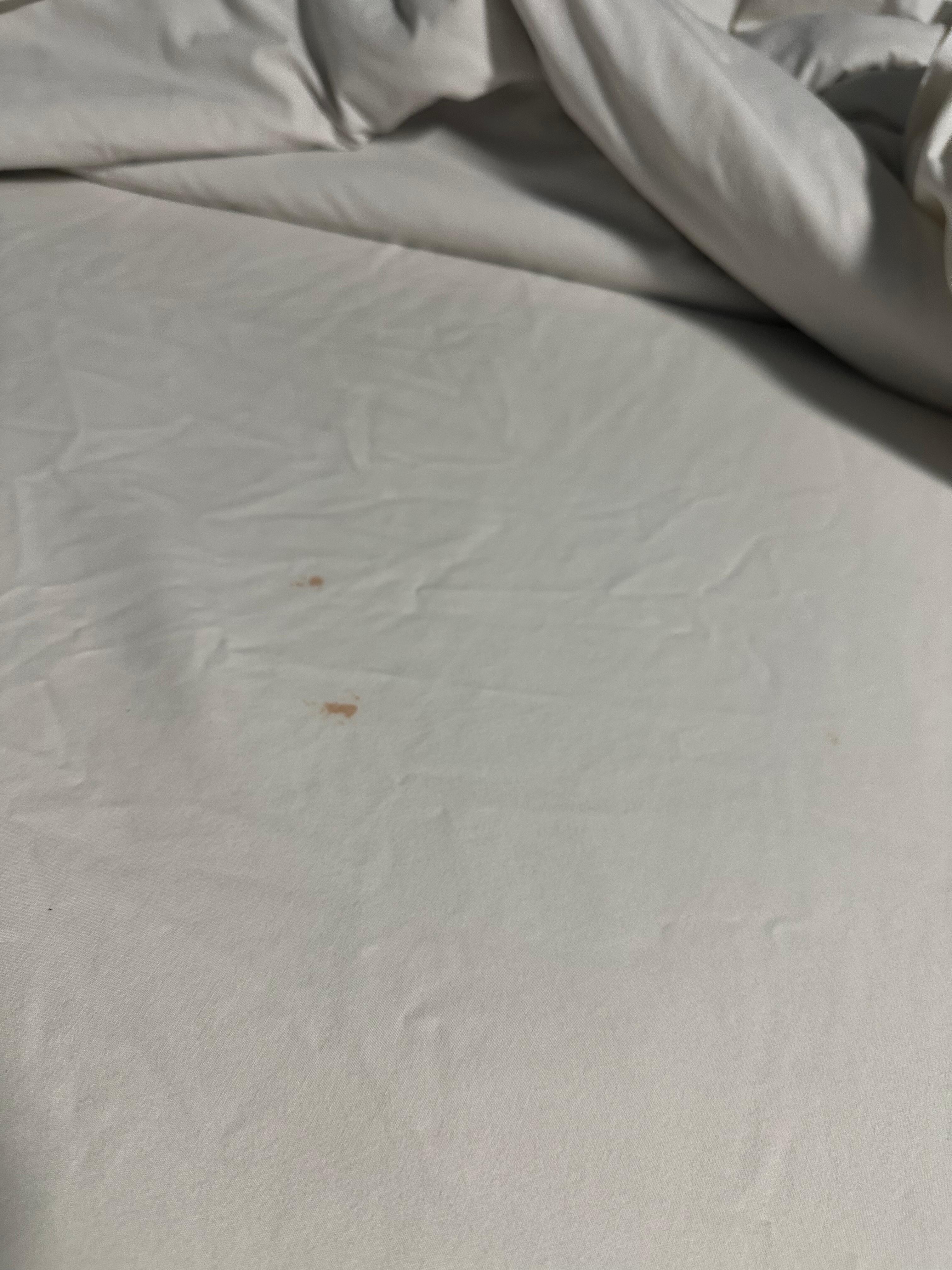 Sheet looked clean but had visible stains