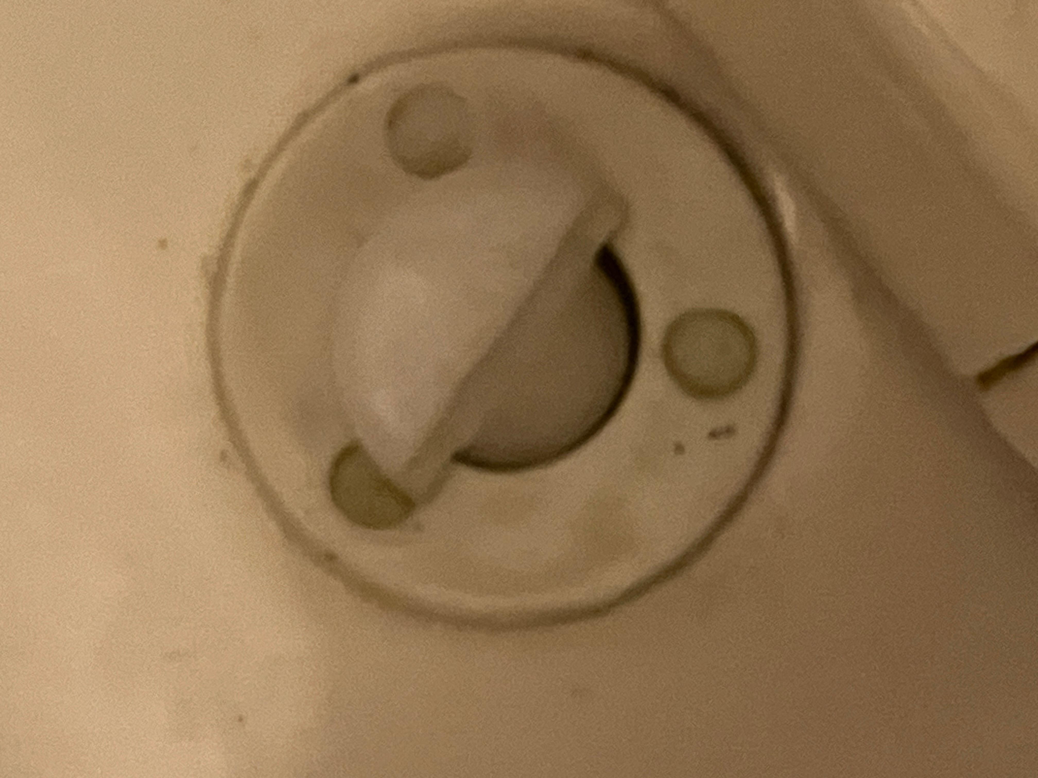 Up close of Snapped Bolt.  There was no Way to Miss this when Cleaning the Toilet (if it was cleaned)