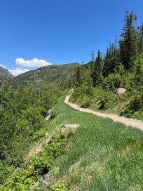 Many, many bike trails