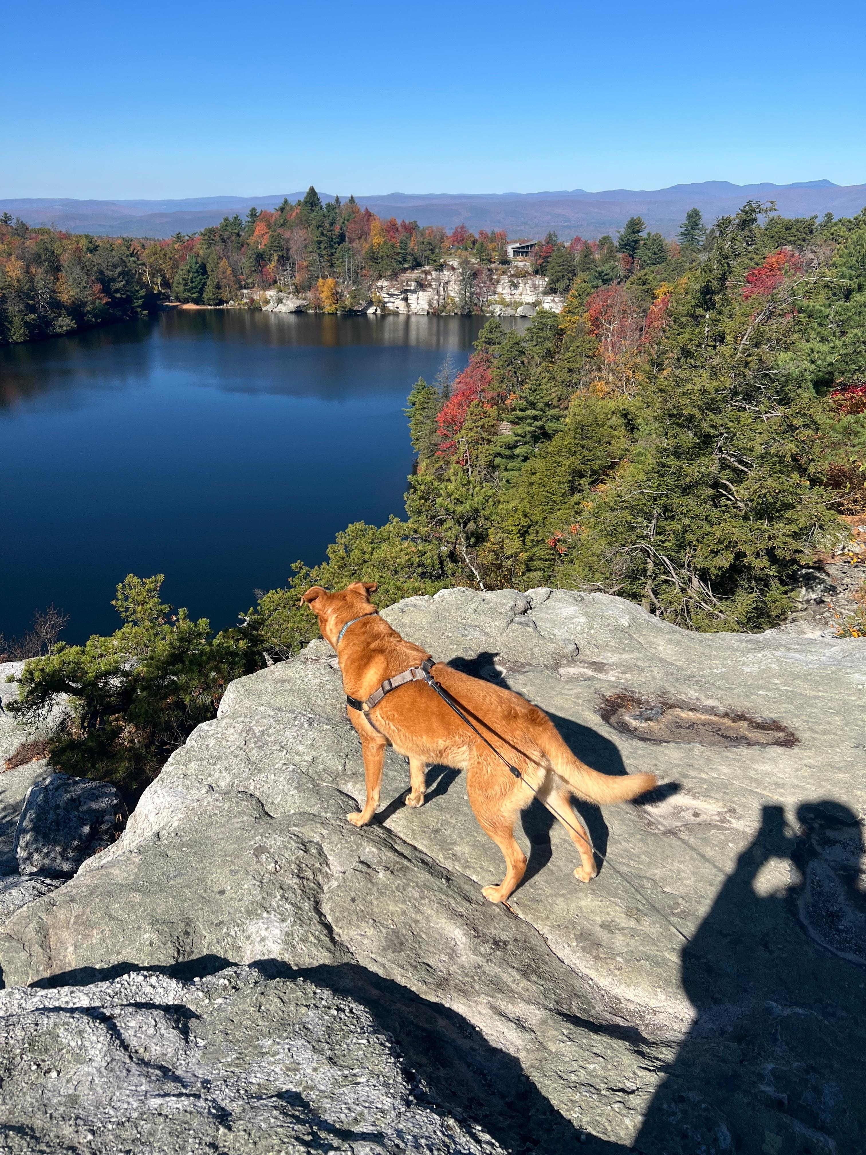 We had a blast hiking in the area!