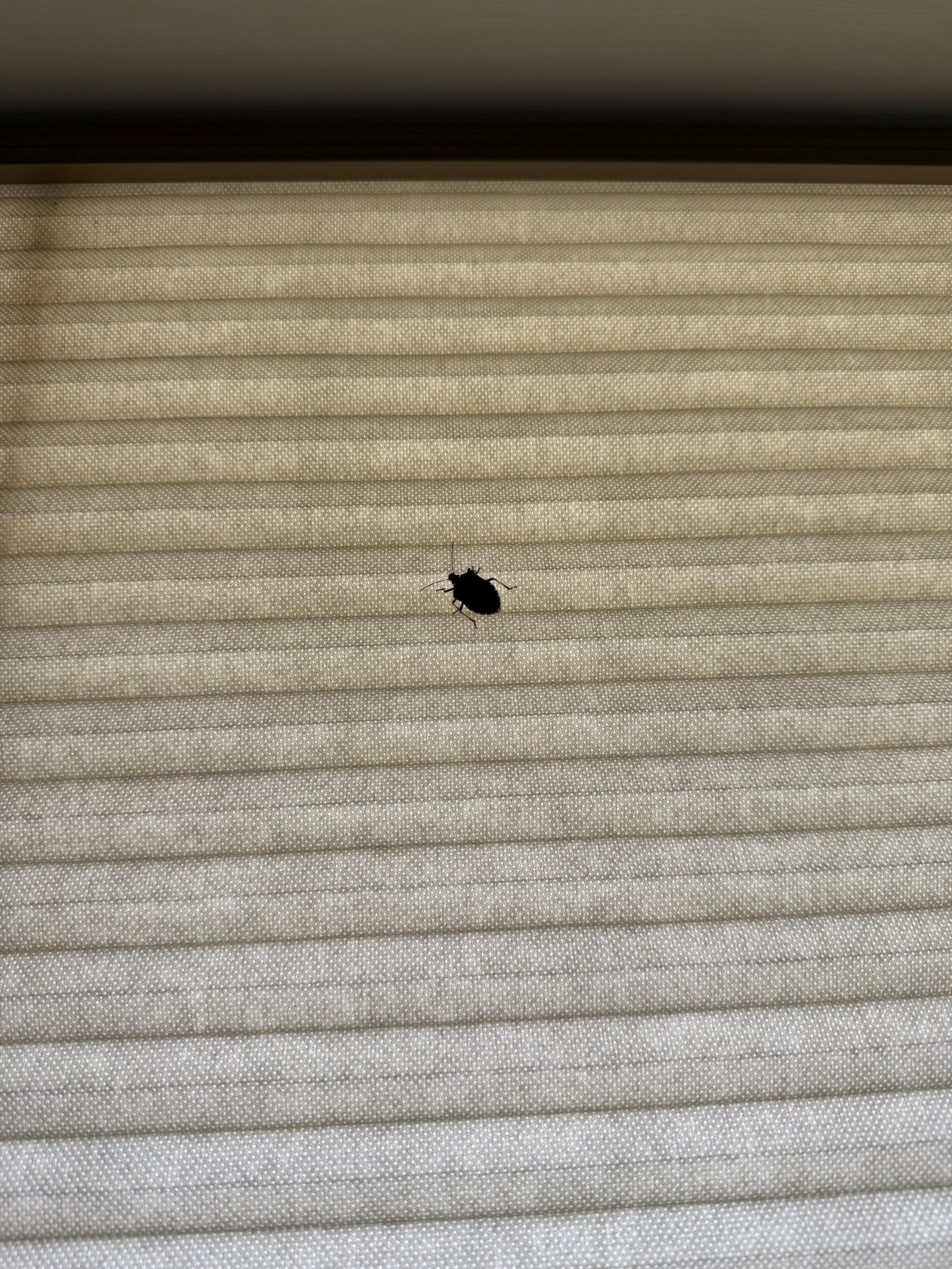 Bug #1. There was a lot more