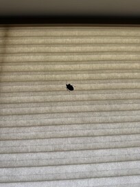 Bug #1. There was a lot more