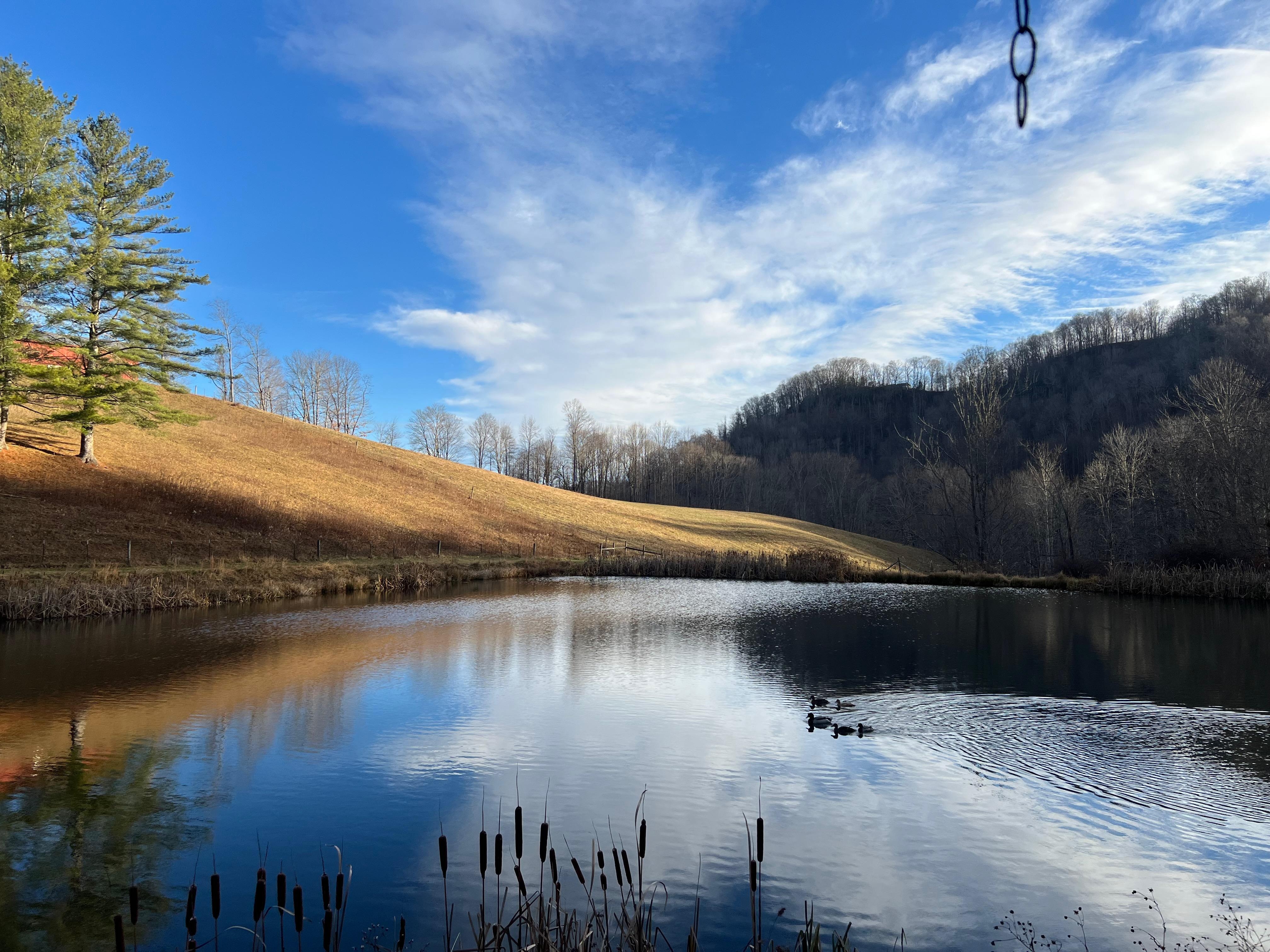 Cold morning walk around the ponds...just beautiful!