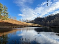 Cold morning walk around the ponds...just beautiful!