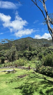 Garden view from room