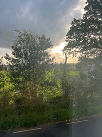 From our window