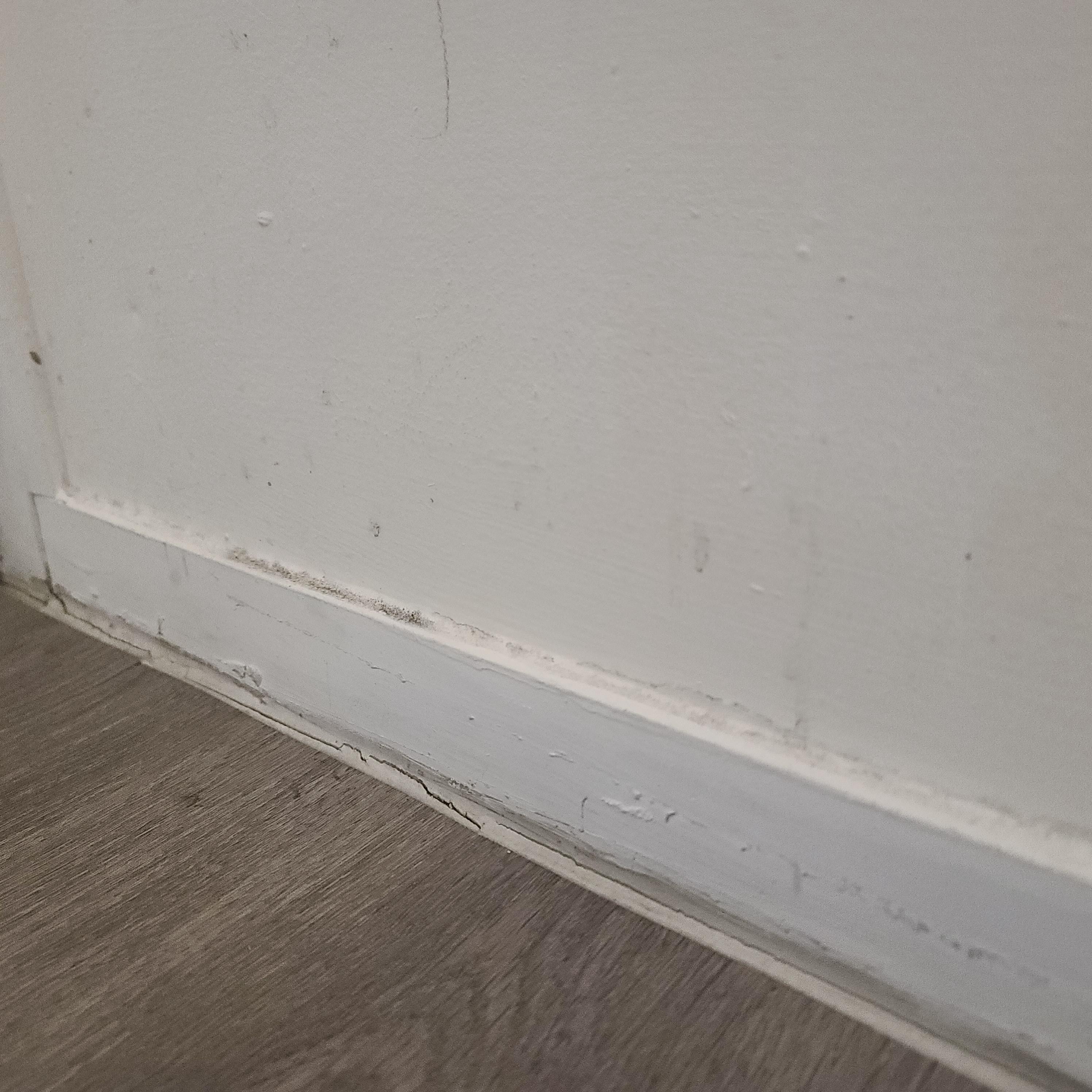 Just overall dirtyness and stains