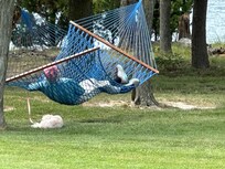 Enjoying a relaxing nap in the hammock!
