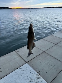 We caught so many fish!
