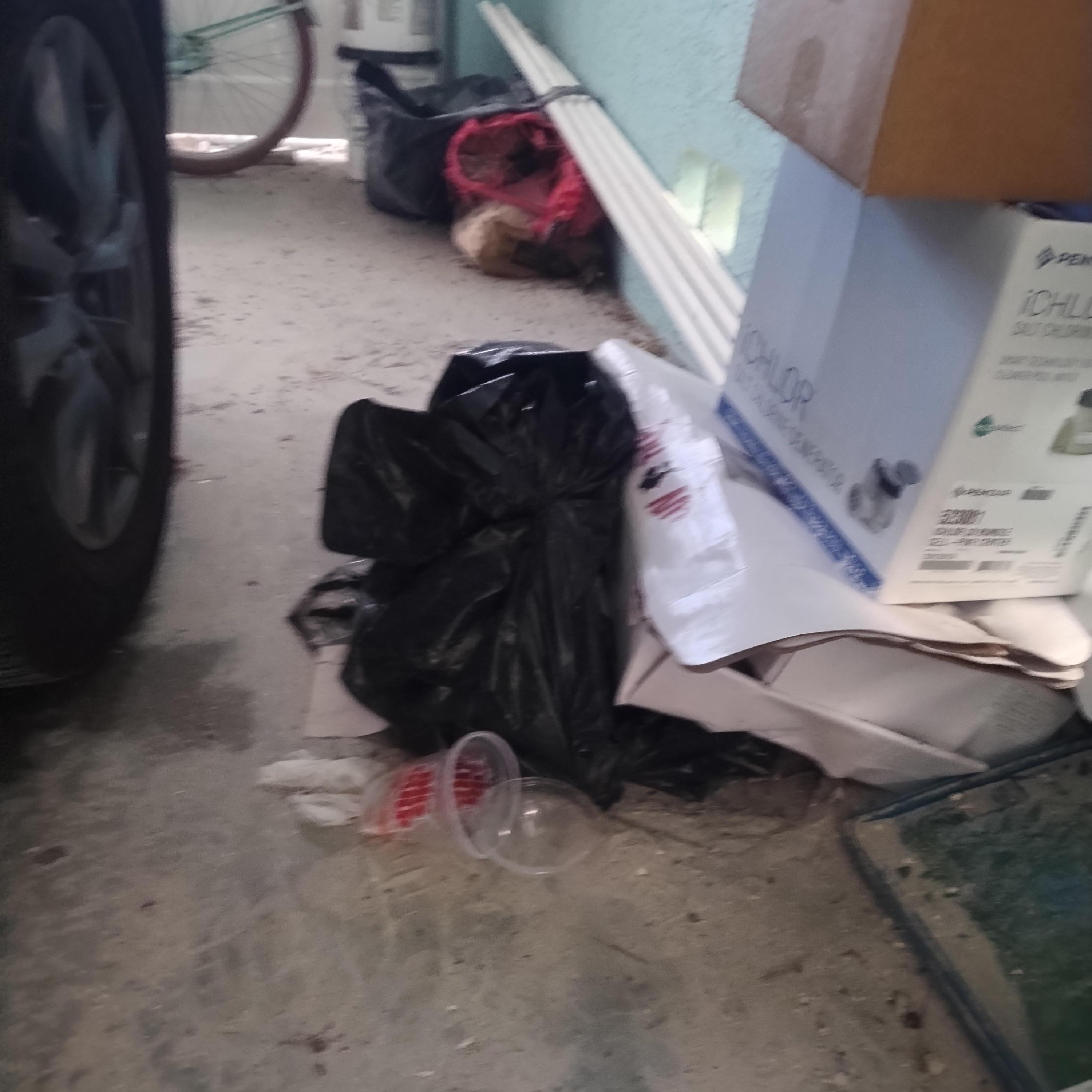 Garbage laying in the parking lot upon our arrival