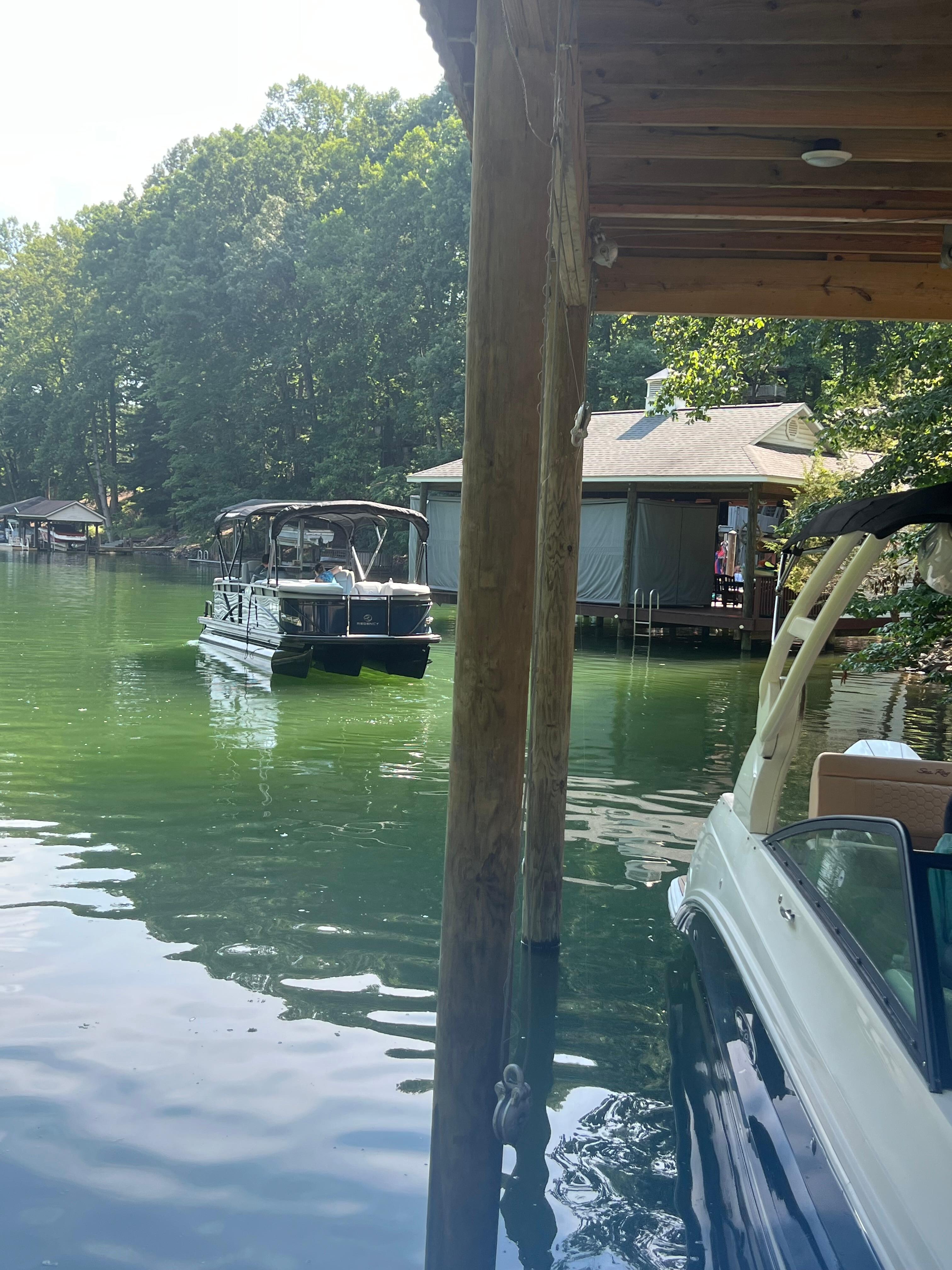 View from Dock looking towards cove