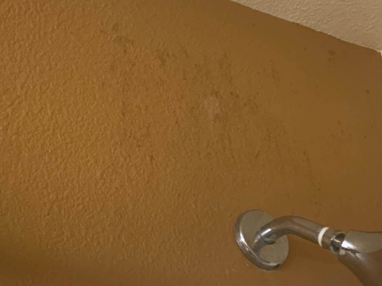 Mold on walls in bathroom