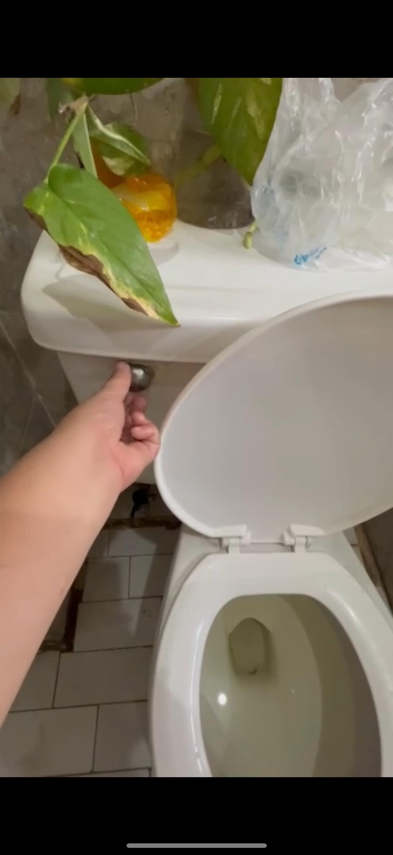Broken toilet flush