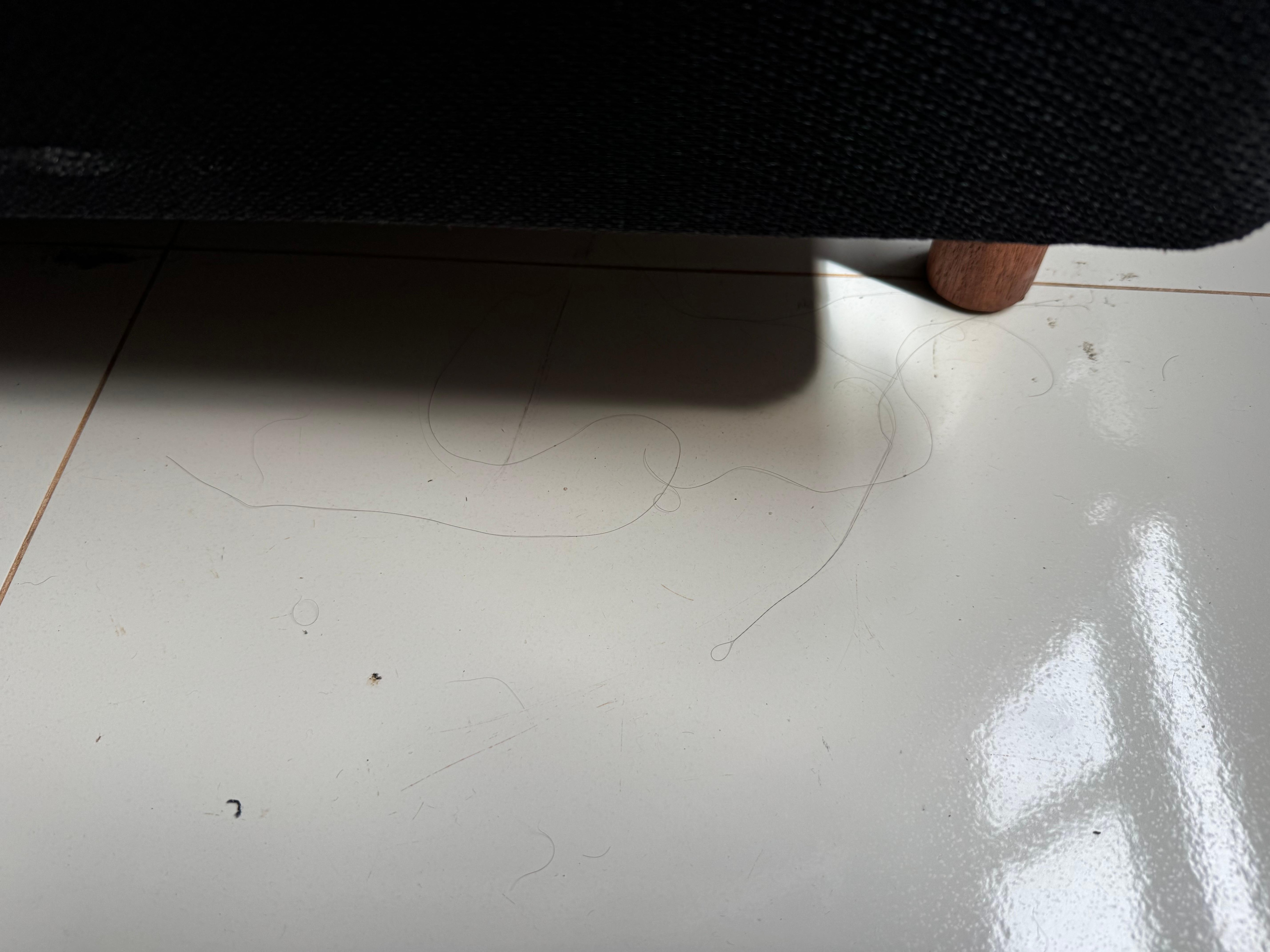 Cabelos embaixo dos moveis