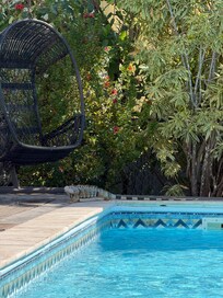Pool and local iguana