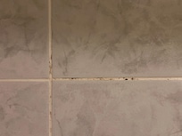 Mold