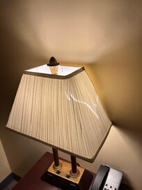 Multiple lamp shades damaged. Filthy room.