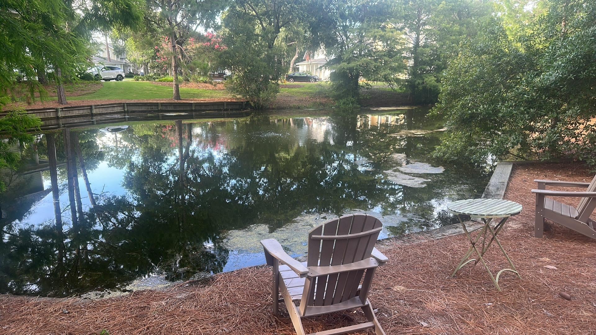 Catch and release pond right off the back porch!
