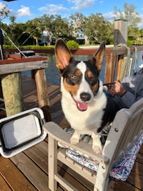 The dock has chairs, couches, table, fish cleaning table, live bait well, literally everything!