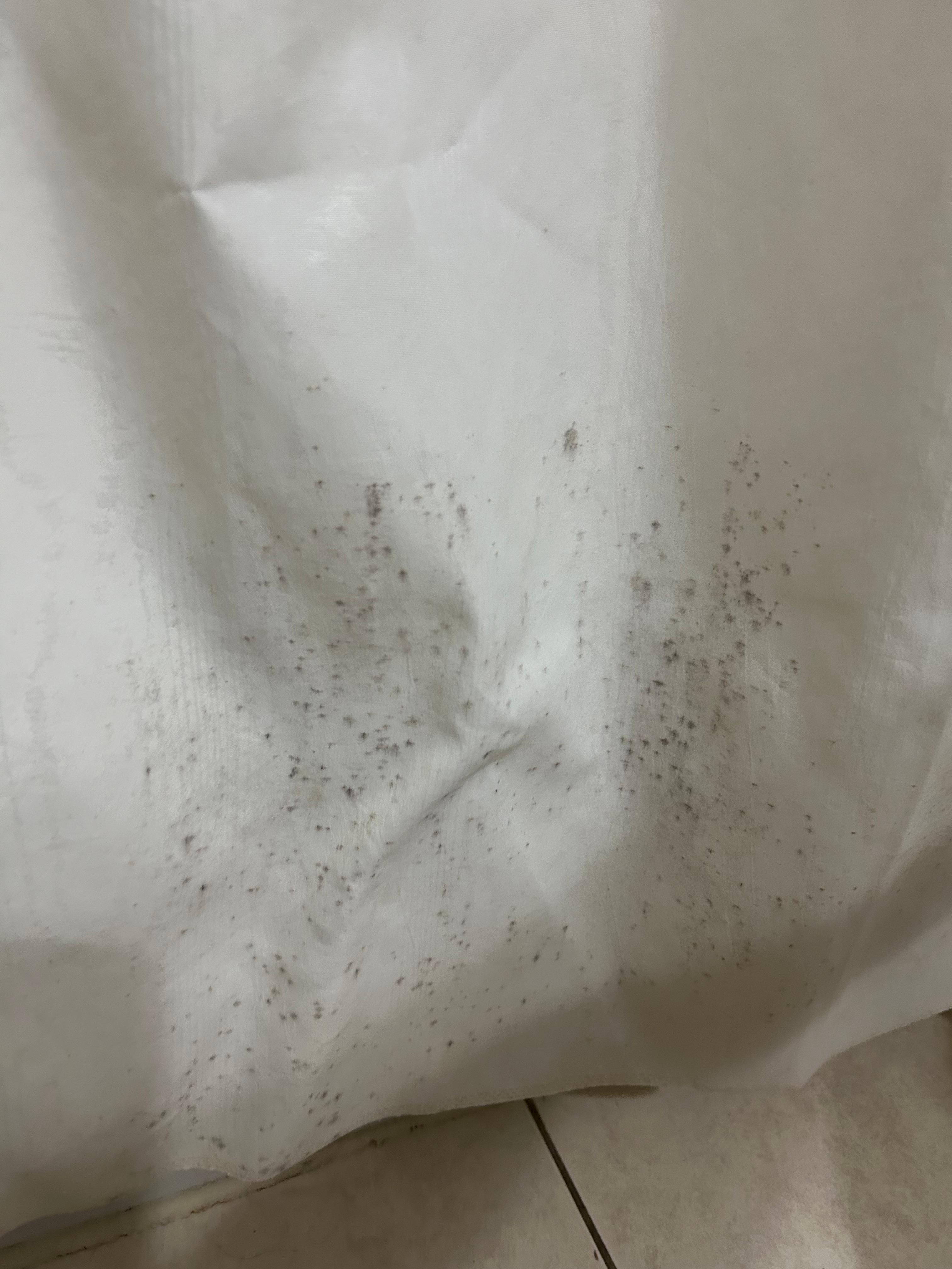 Moldy shower curtain