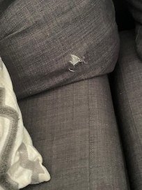 Couch defekt