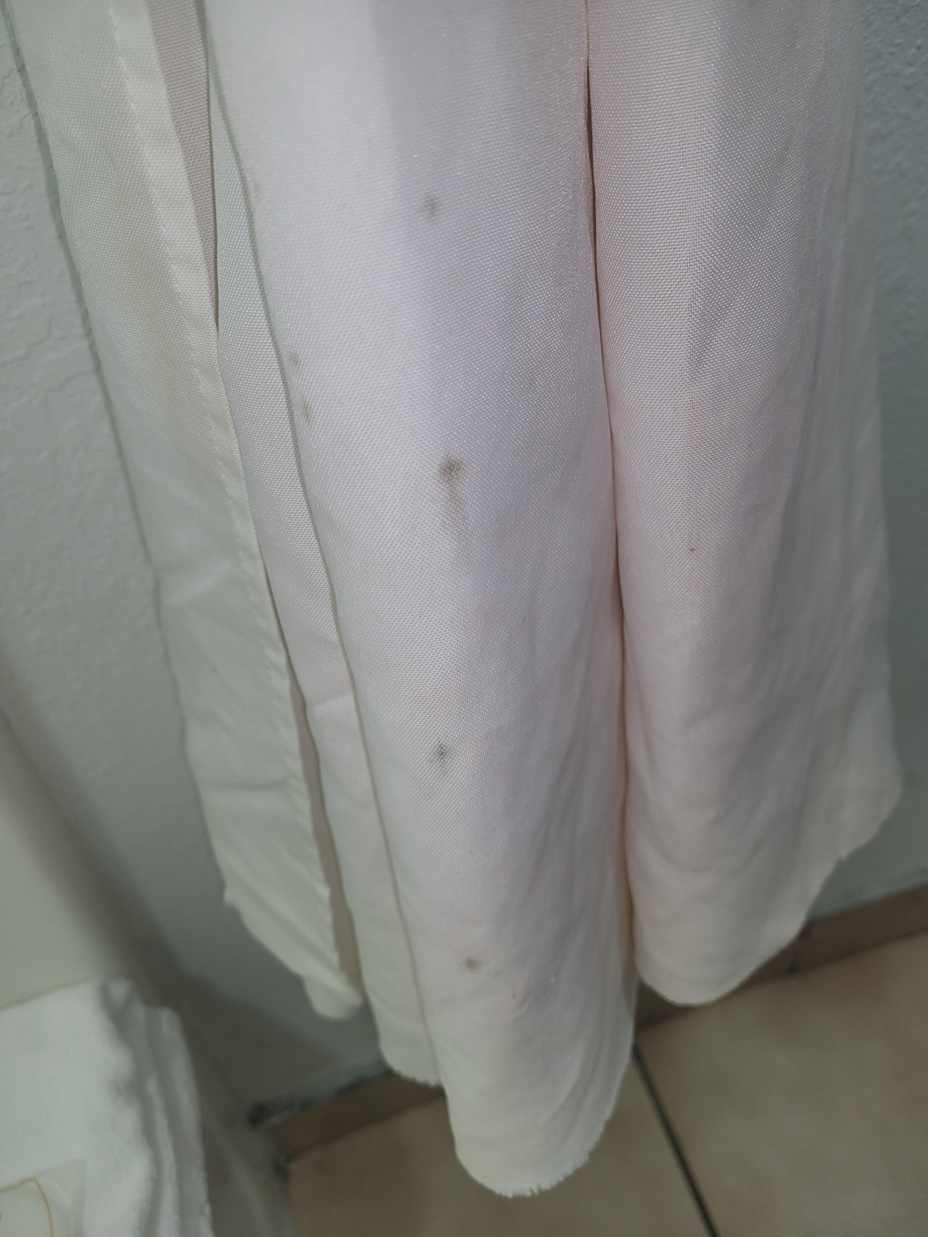 Mold on the shower curtain.