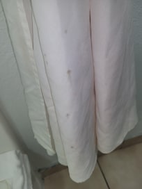 Mold on the shower curtain.