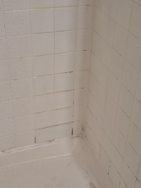 Black shower stains