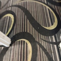 Common areas cluttered with debris.