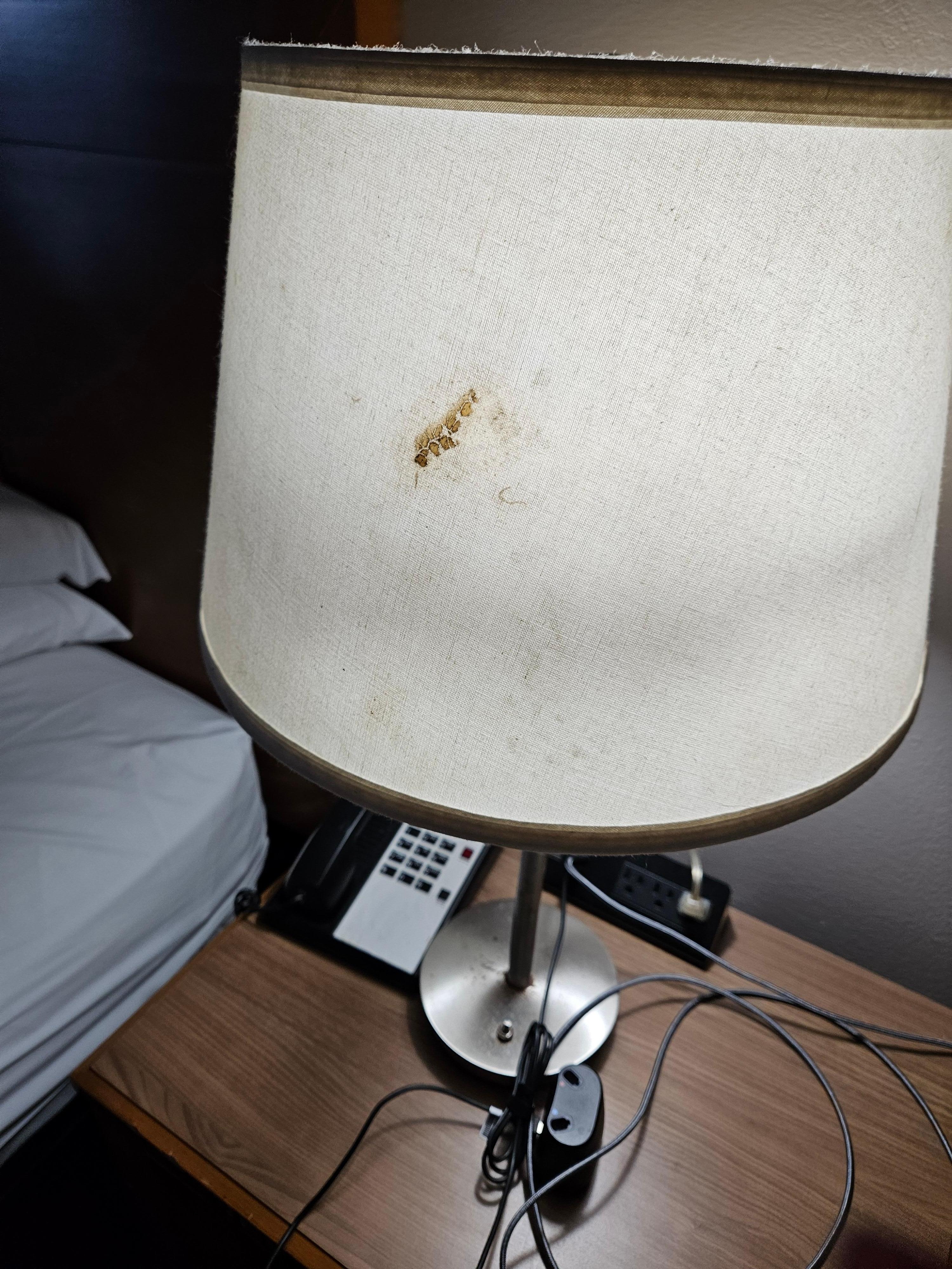 Turned so the dirt faced the wall.