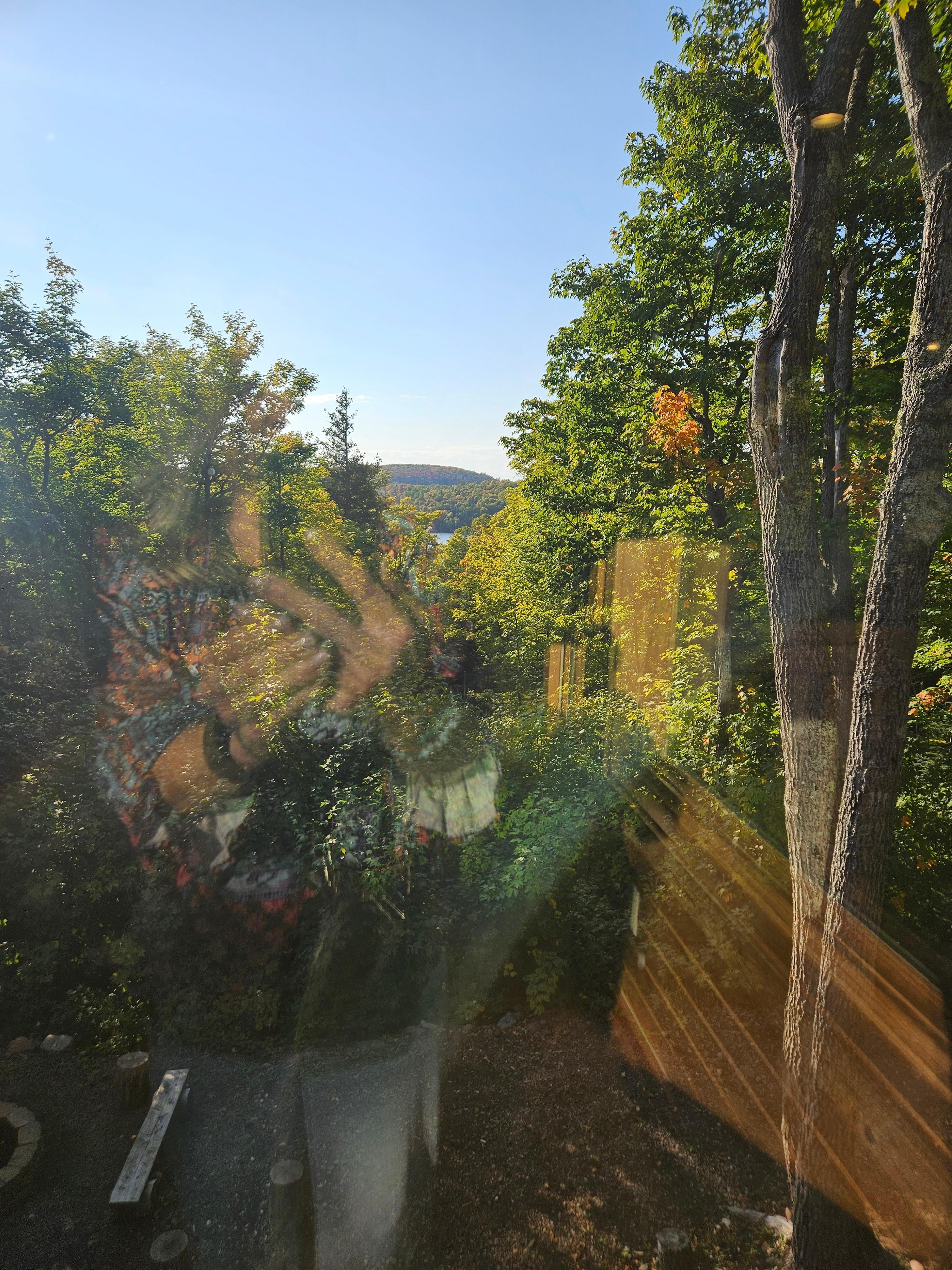 View from dining room