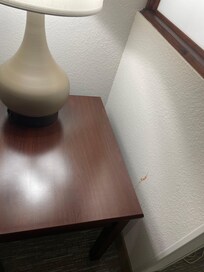 Food on wall in plain sight