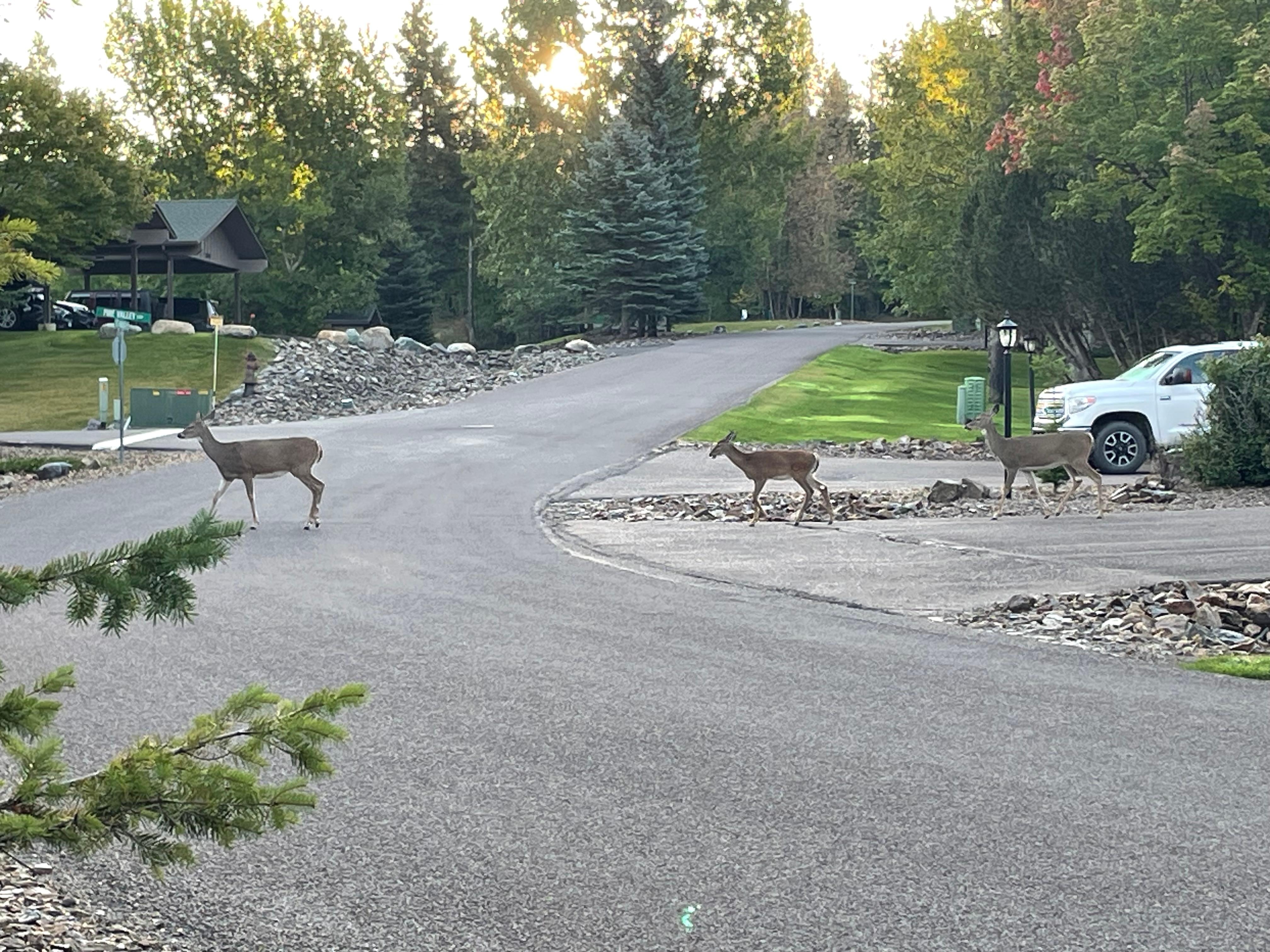 Be careful as you drive into neighborhood 