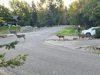 Be careful as you drive into neighborhood