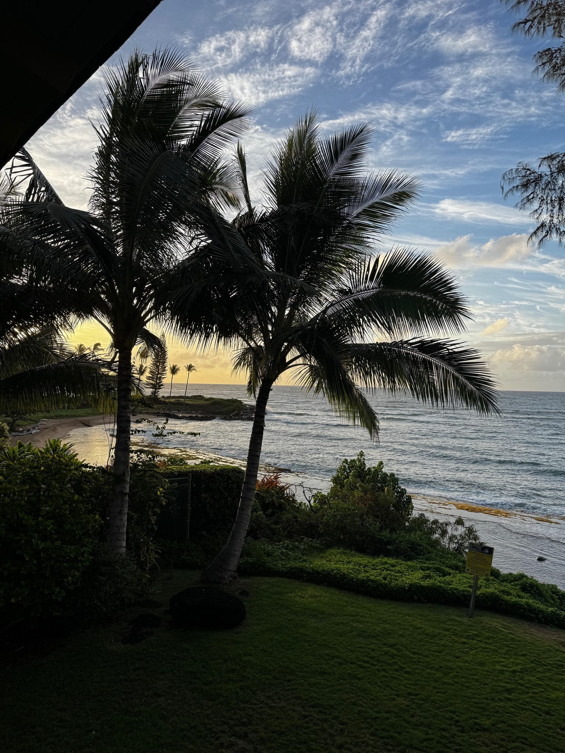 Obsessed with the view