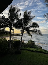 Obsessed with the view