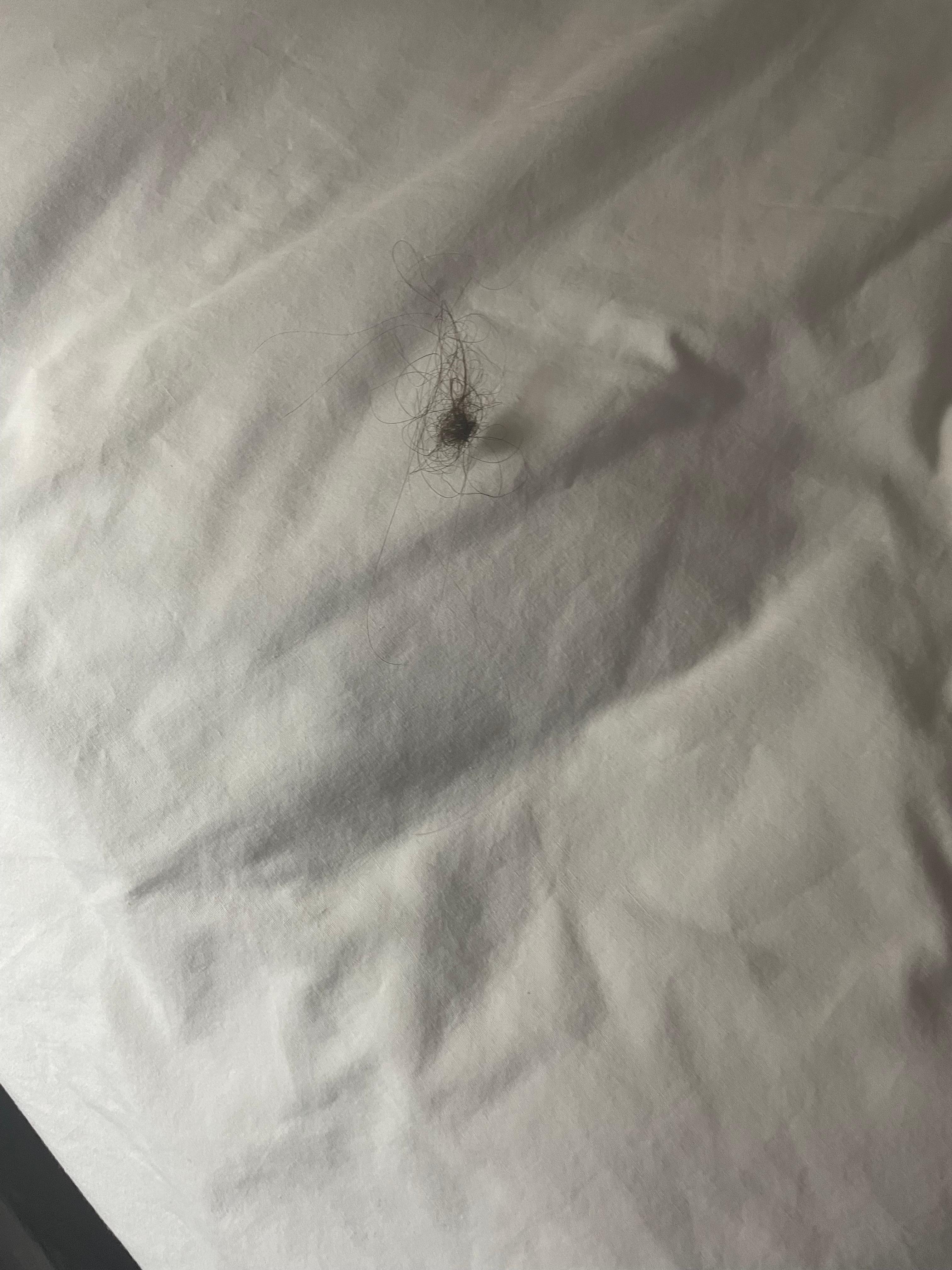 Nasty hair in the bed and it wasn’t mine