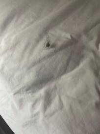 Nasty hair in the bed and it wasn’t mine