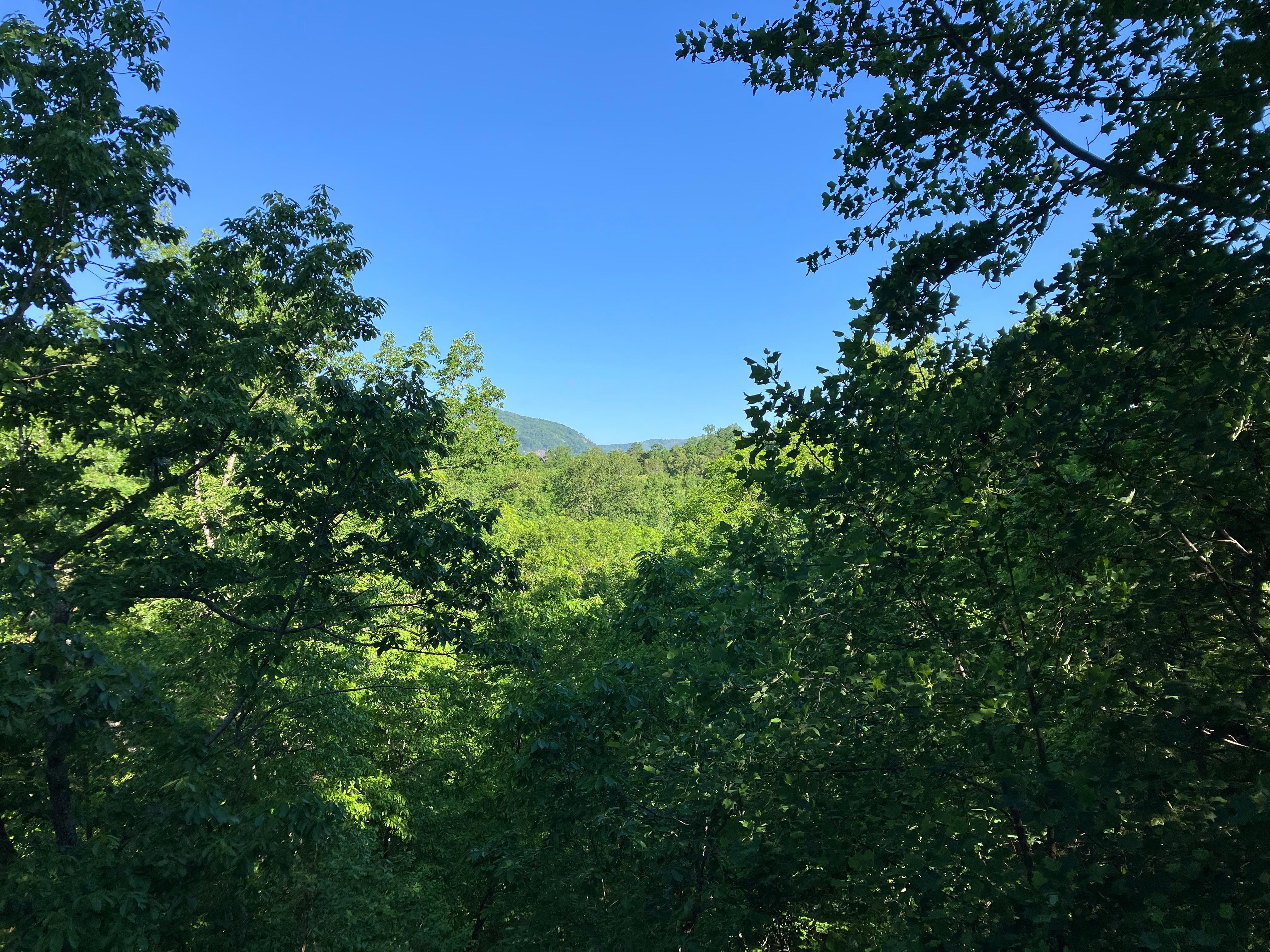View from deck. Gorgeous and so peaceful.