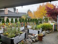 The front garden is so cute.