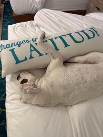 after a long day of driving it's a perfect attitude adjustment without changing latitude