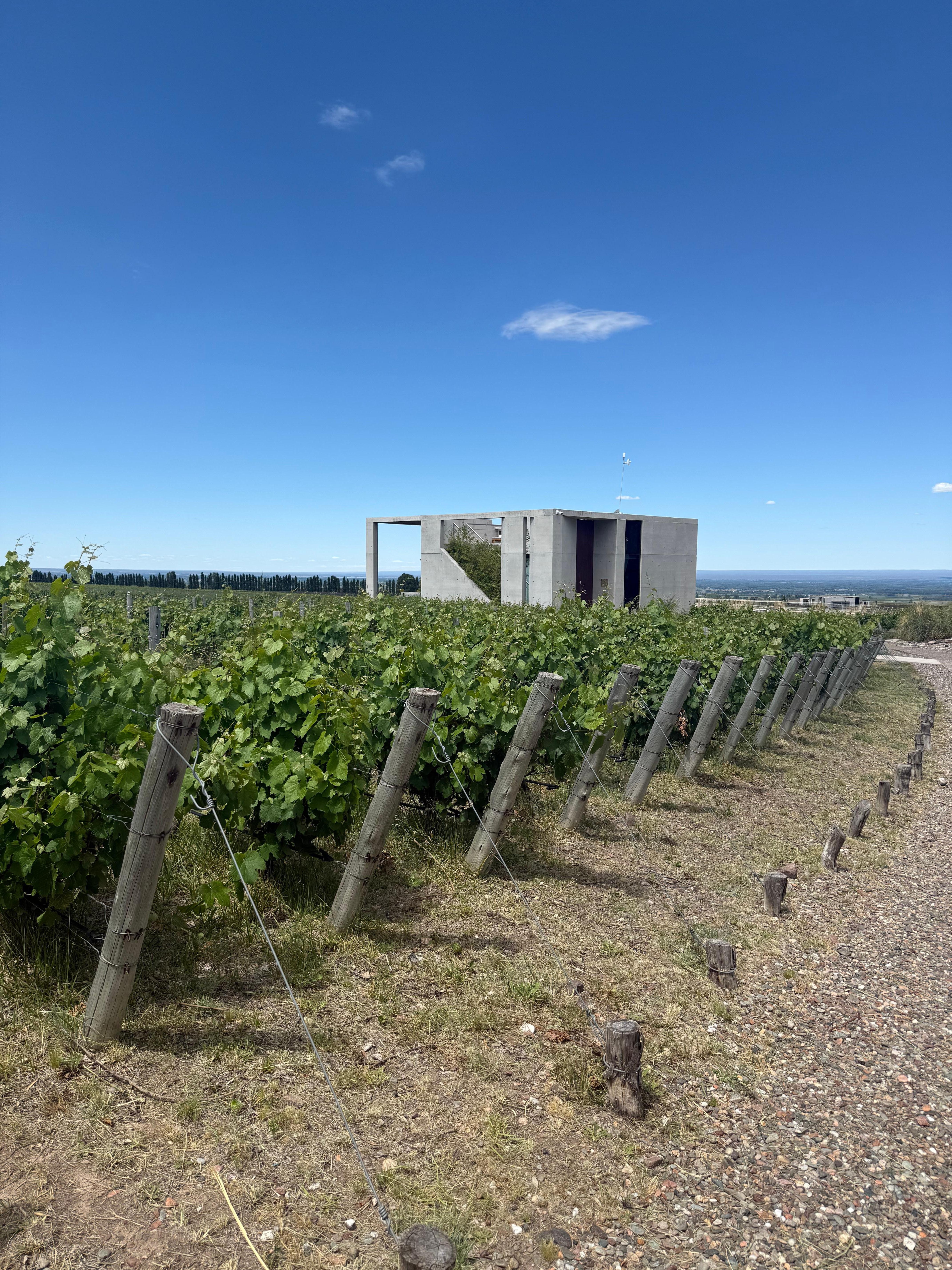 Brutalist style architecture 
