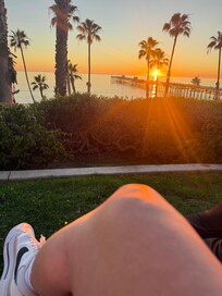 When you walk down your street and this is your view?