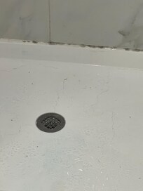 Mold showing