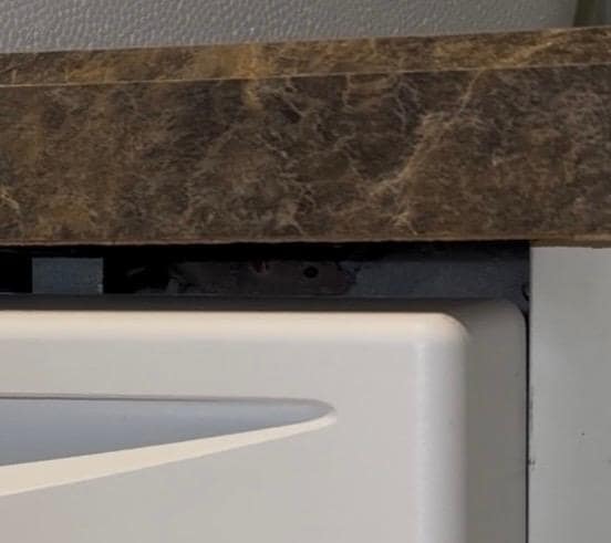 Live mouse hiding next to dishwasher upon arrival.